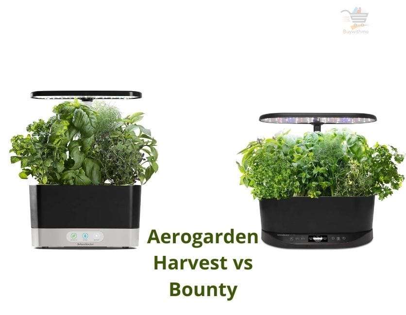 Aerogarden Harvest vs Bounty