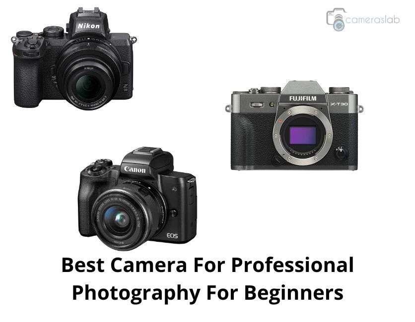 Best Camera For Professional Photography For Beginners