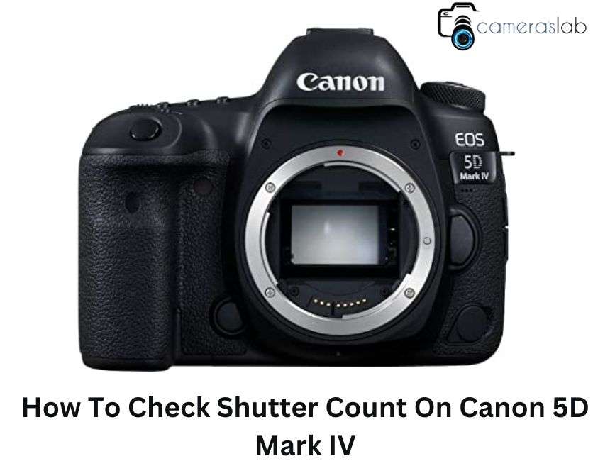 How To Check Shutter Count On Canon 5D Mark IV