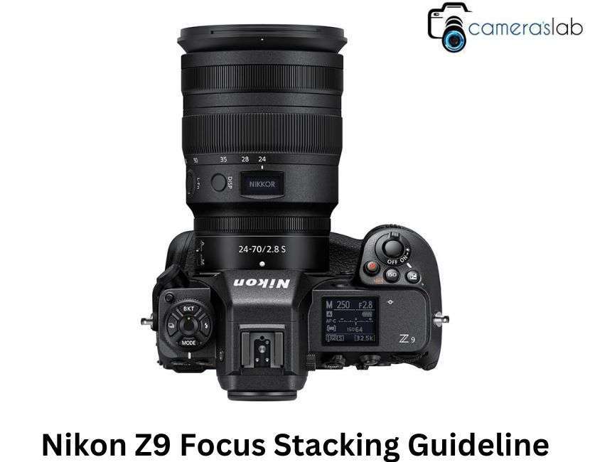 Nikon Z9 Focus Stacking Guideline