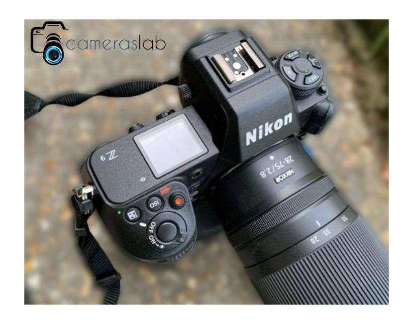 The Importance of Shutter Speed in Photography