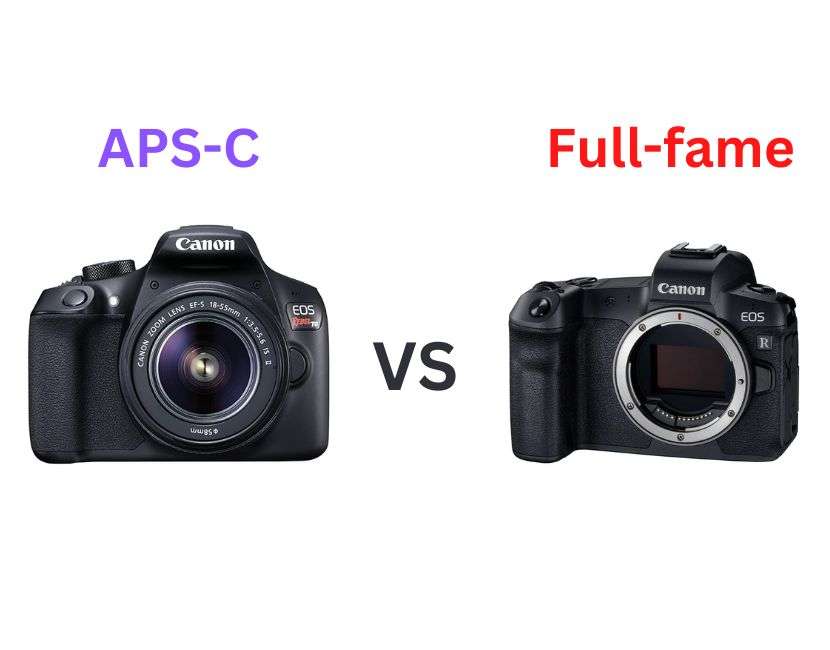 What Does Full Frame Camera Mean