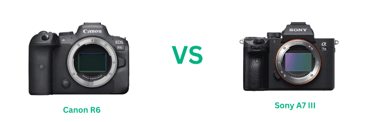 Canon R6 vs Sony A7 III